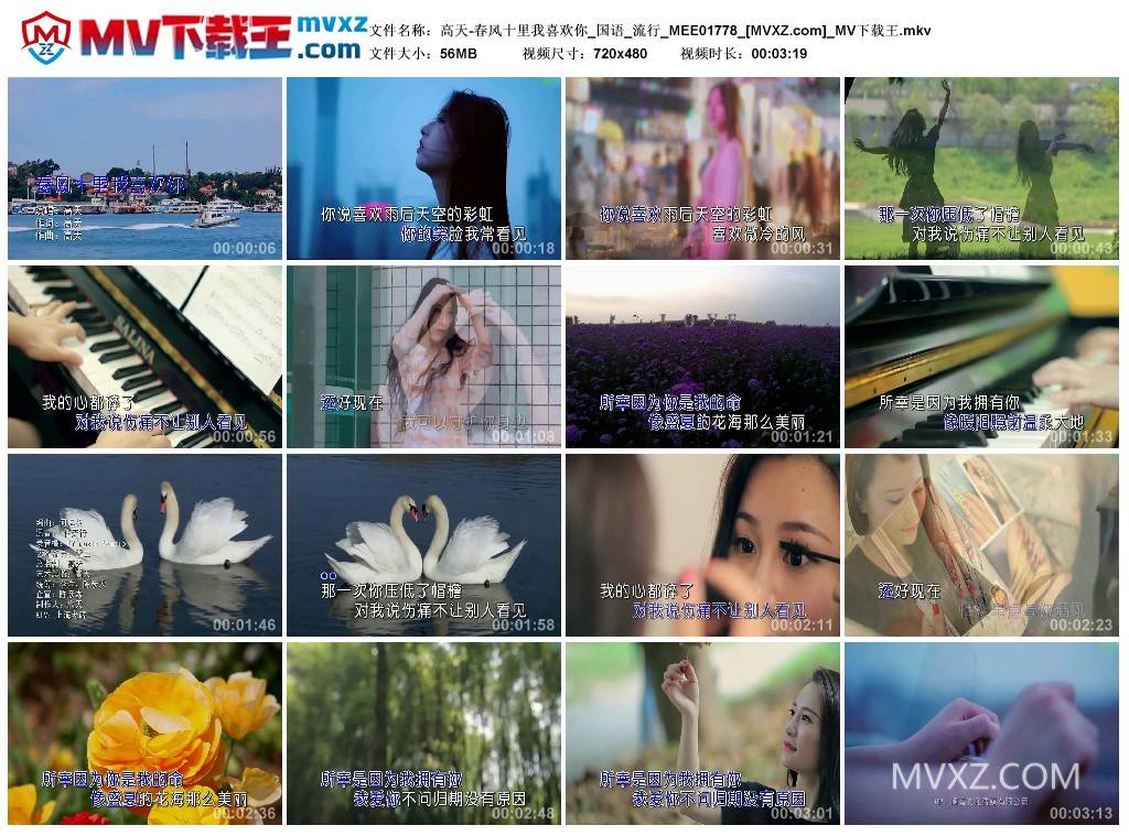 高天-春风十里我喜欢你_国语_流行_MEE01778
